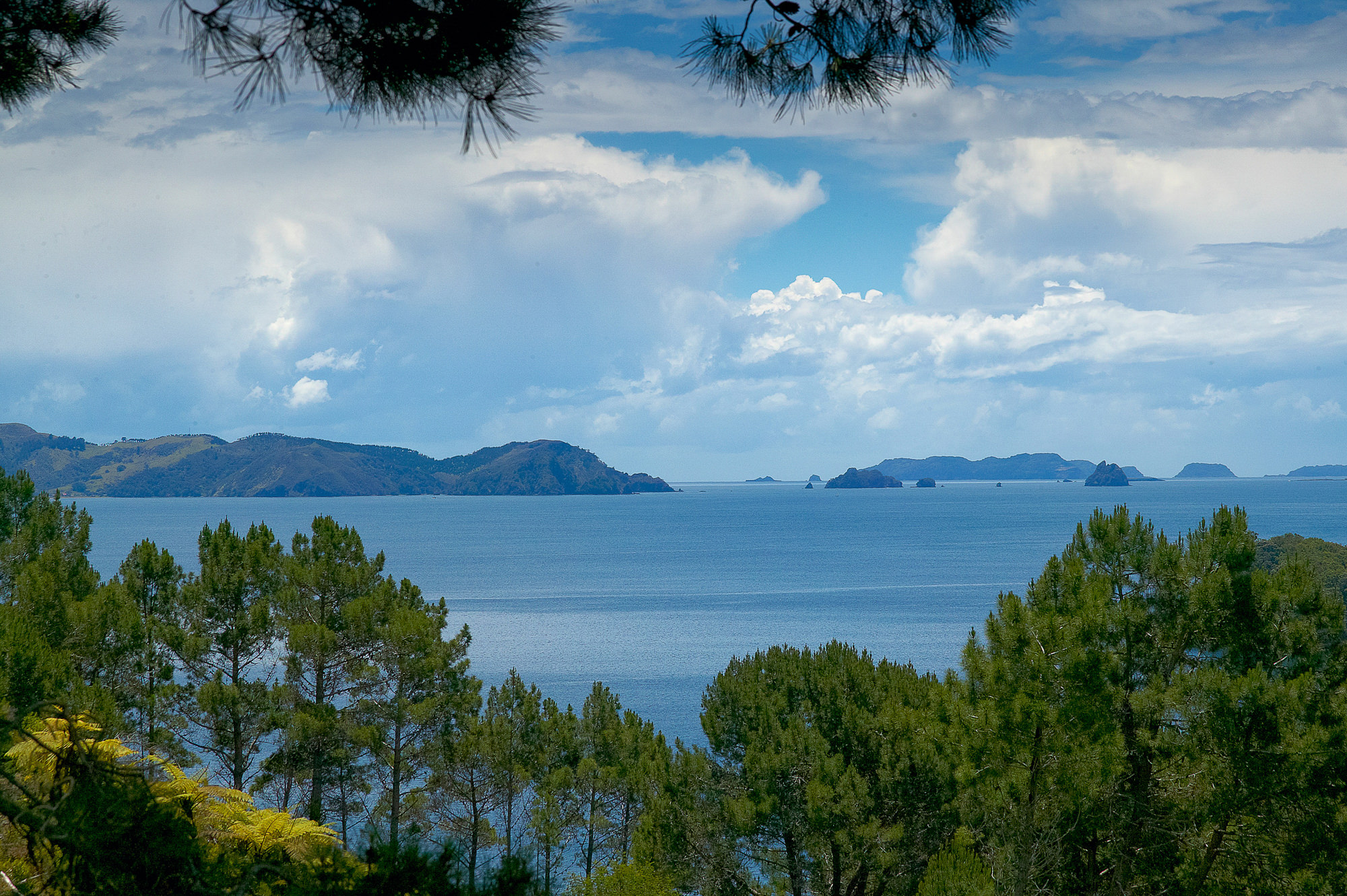Coromandel Peninsula